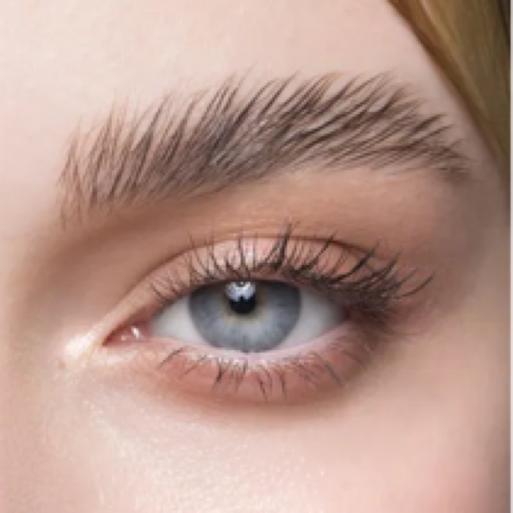 Brow & Lash Services at The Hive Beauty and Wellness in Vancouver, WA