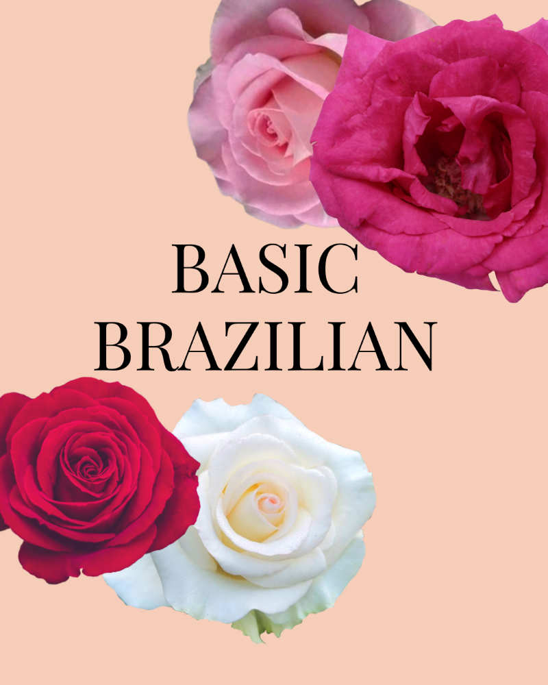 BASIC BRAZILIAN