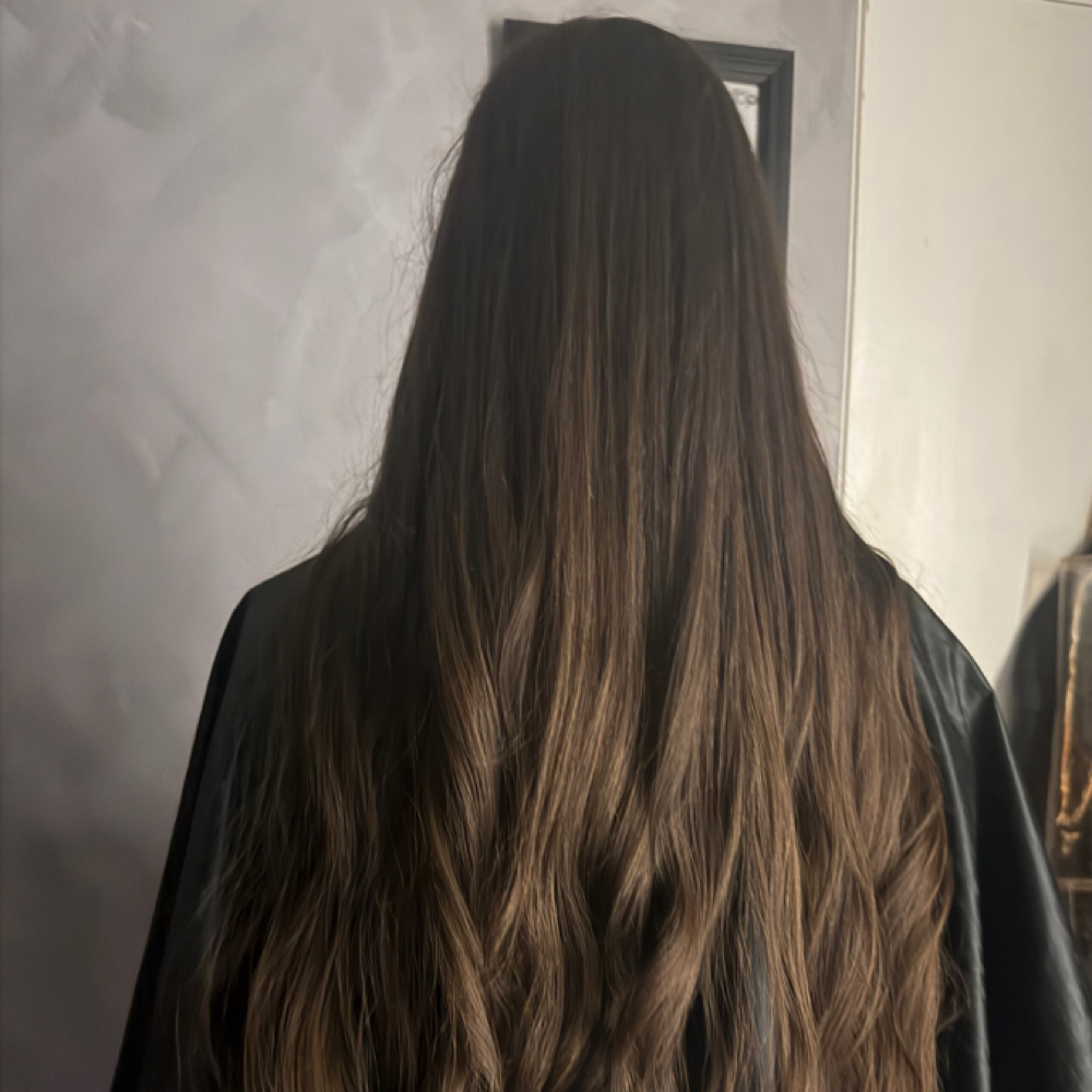 Wash + Style at yourmanegirl.allycooper in Deland, FL