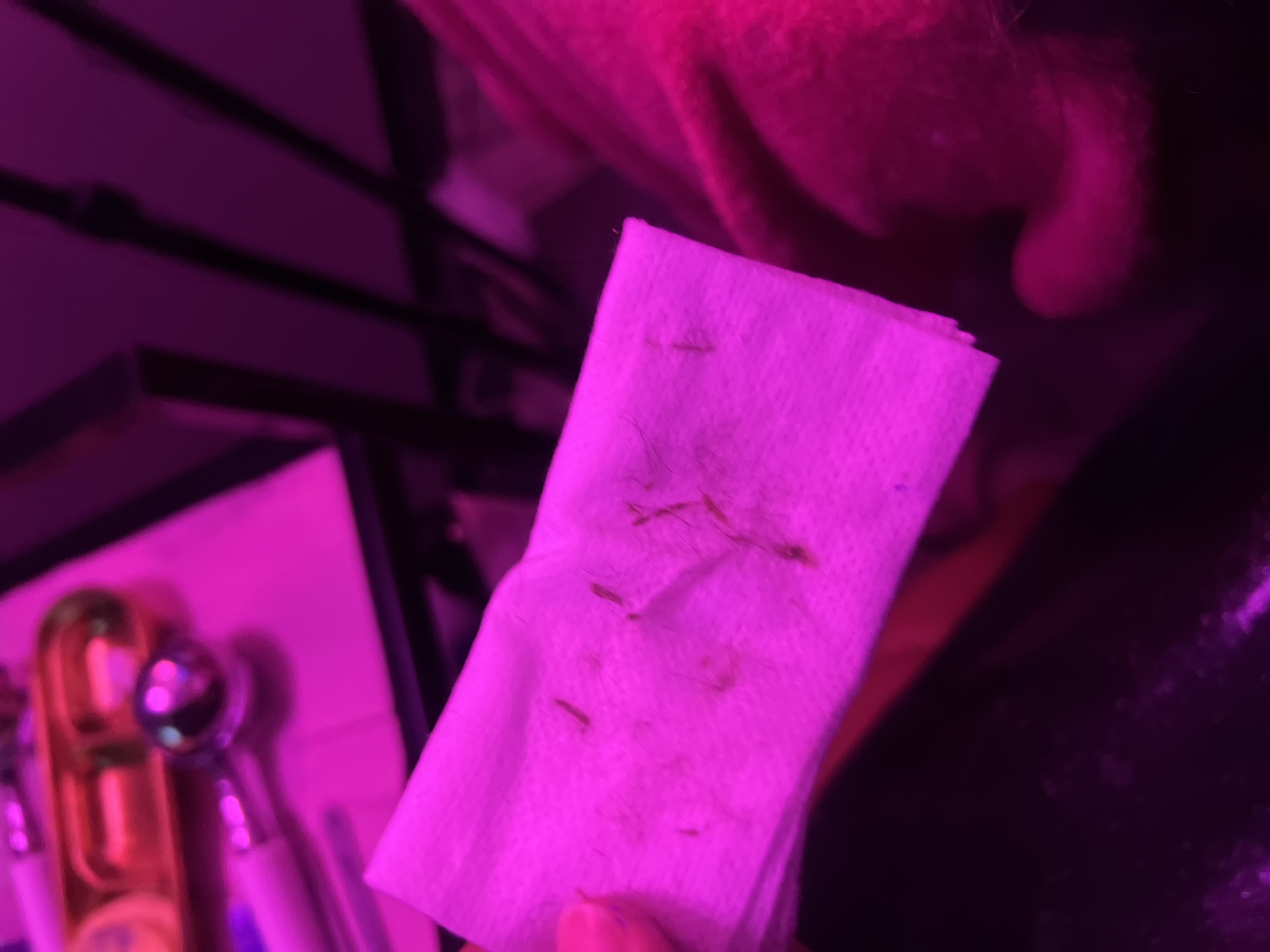 Dermaplane Facial