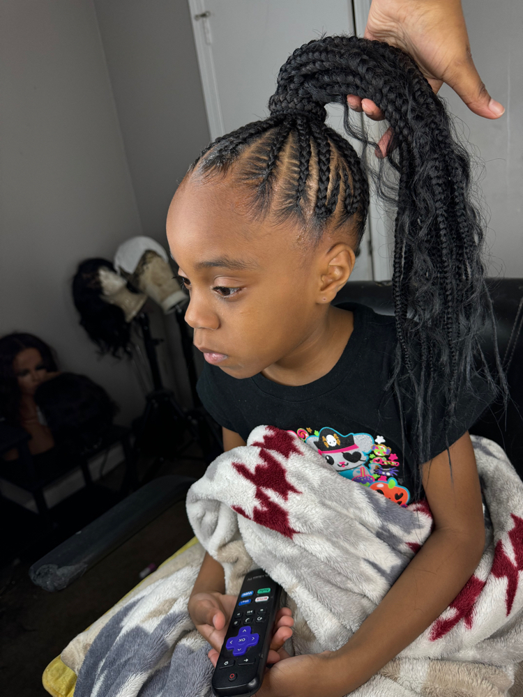 Kids Braids Ponytail 4-9