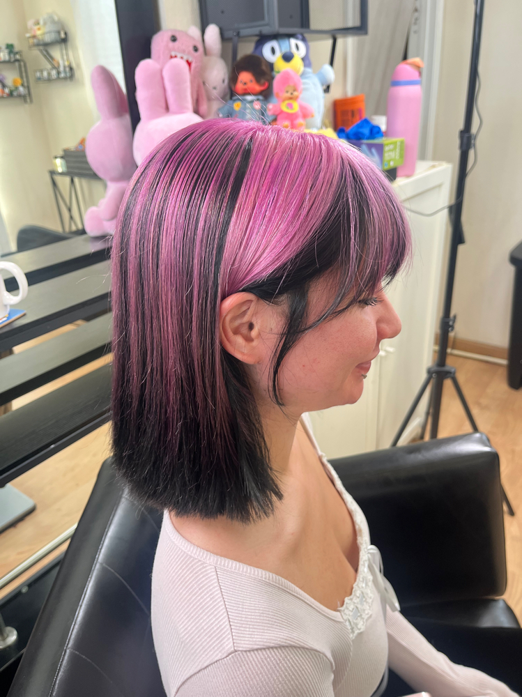 Standard Short Haircut at tifft.any in San Jose, CA