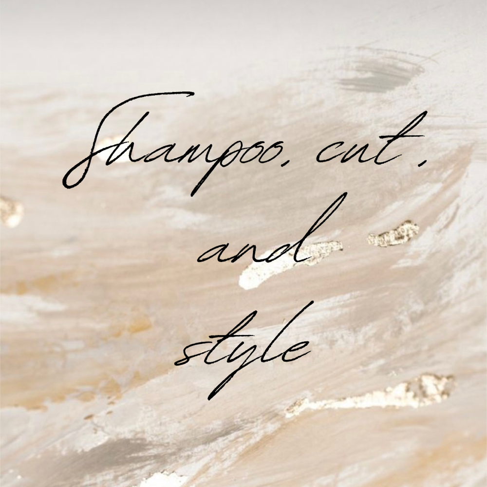 Shampoo + Cut + Style