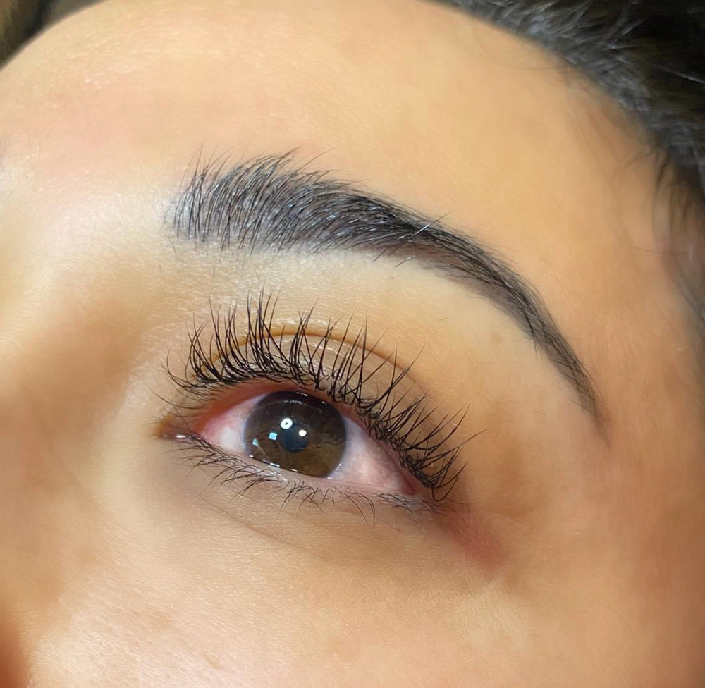 Classic Lash Fill
