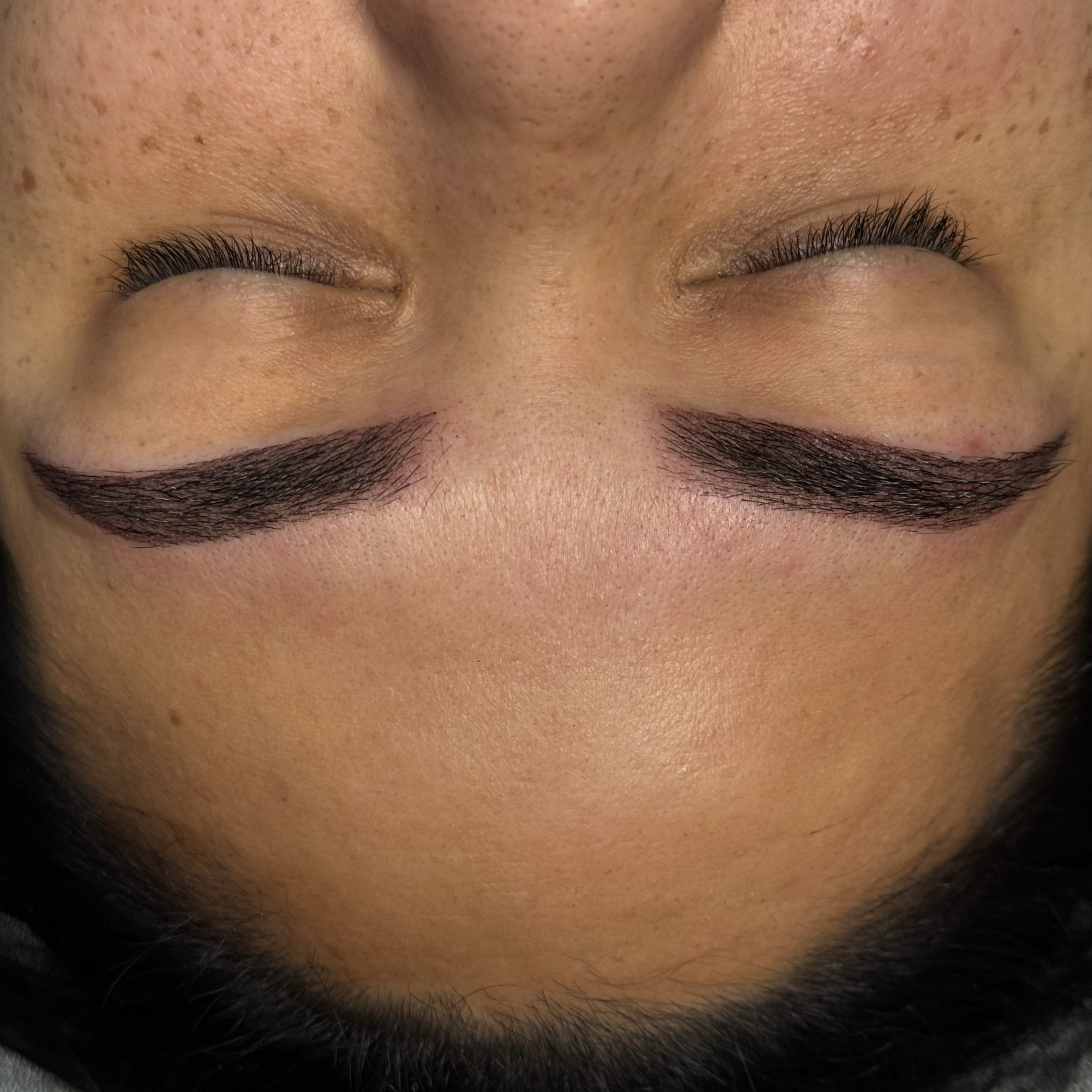 The Powder Brow