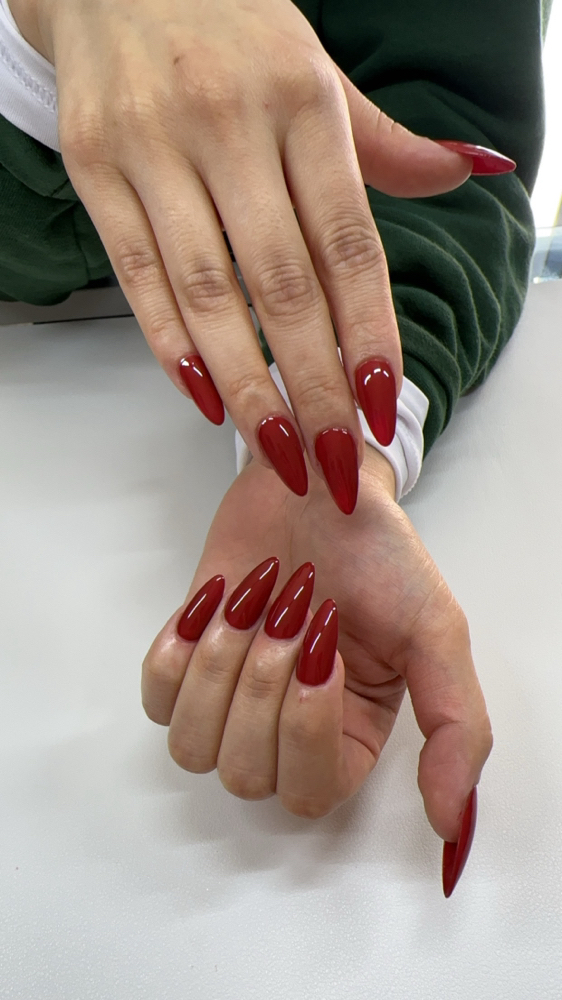 Medium Full Set (Solid Color)