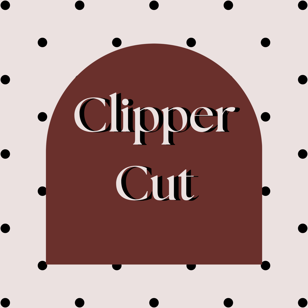 Clipper Cut at Pretty On Purpose in Lascassas, TN