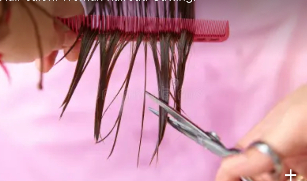 Shampoo, Cut, Style Average Length