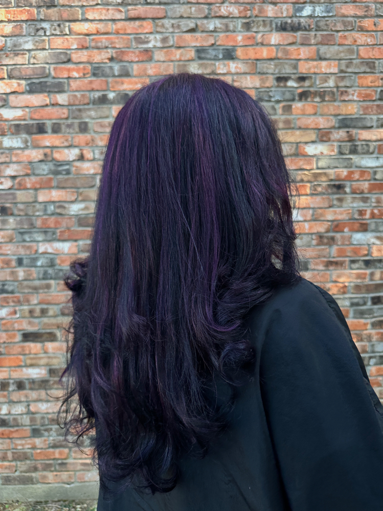 Extensions Consultation
