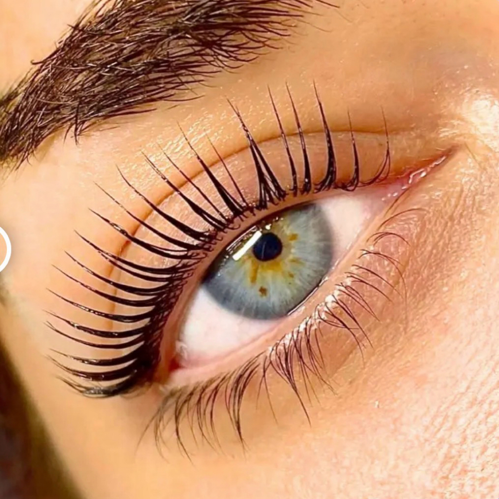 *NEW* Korean Lash Lift & Tint at Whiplashed Studio in Greenfield, IN