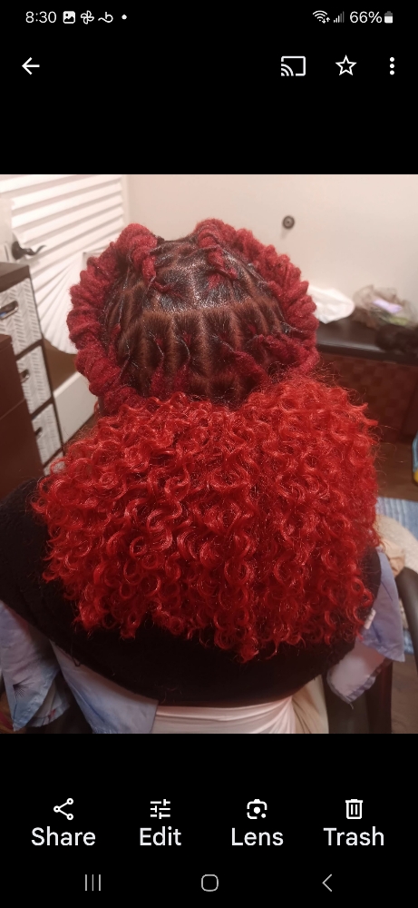 FULL HEAD LOC COLOR