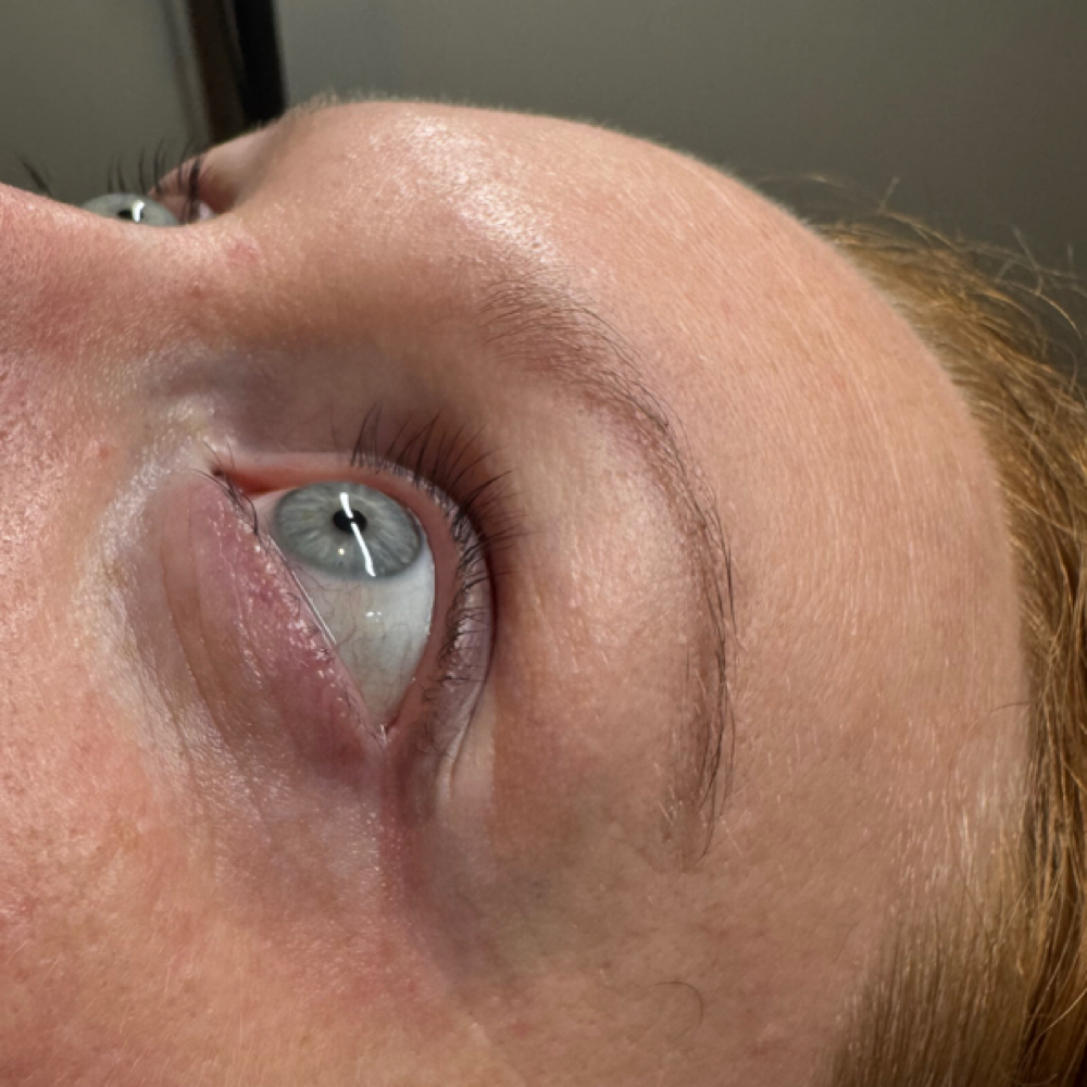 Lash & Brow Tint at Victoria Renay Beauties in Frisco, TX