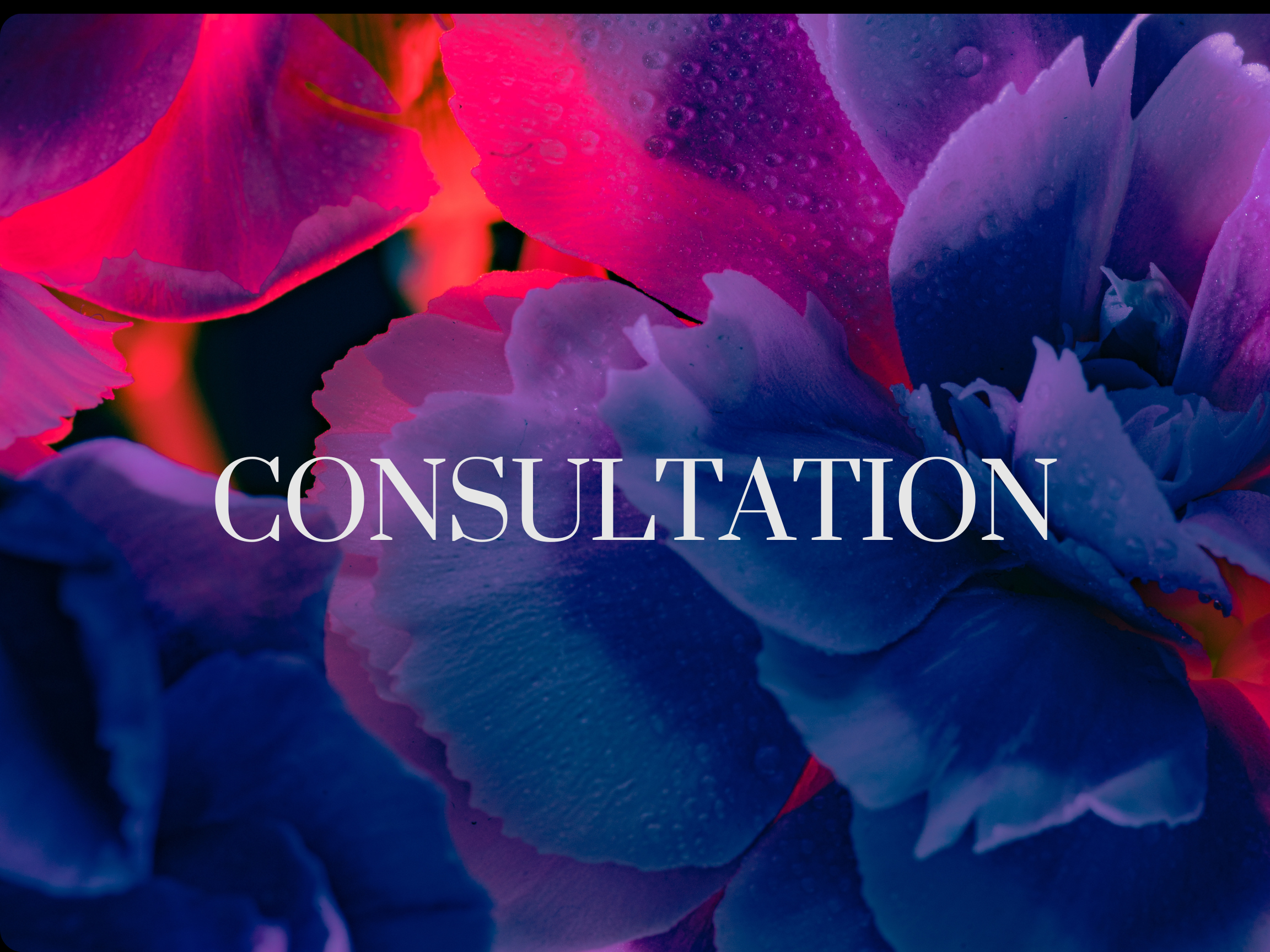 Consultation(S)