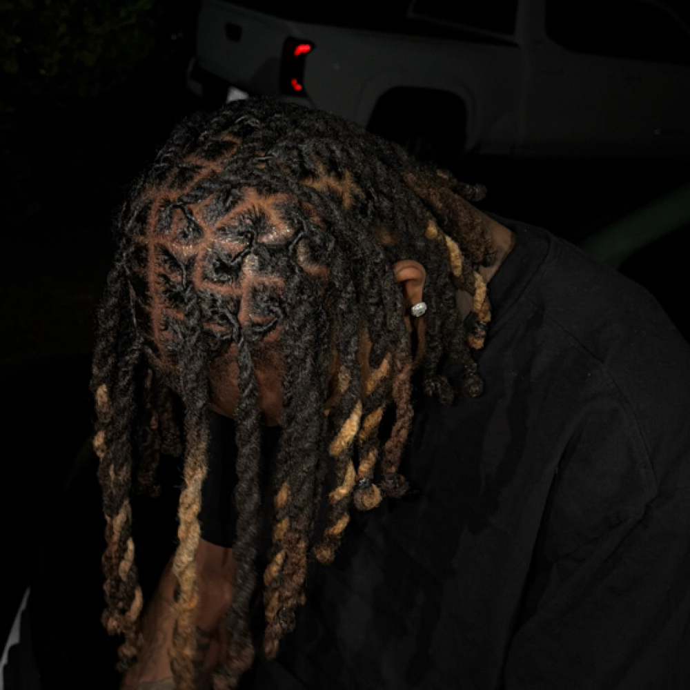 2 Strand Retwist at d3stylez