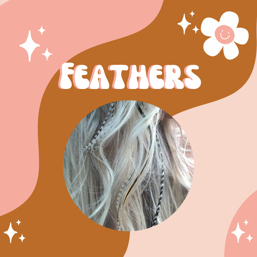 Feather Extensions