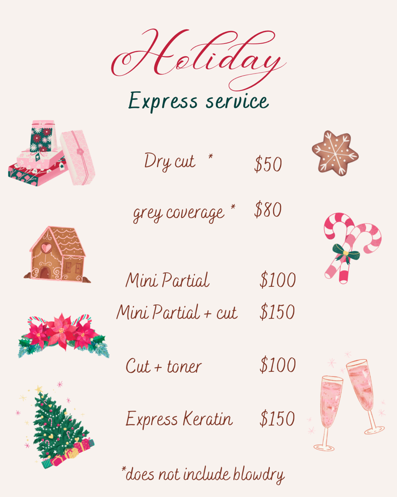 Holiday Express Service