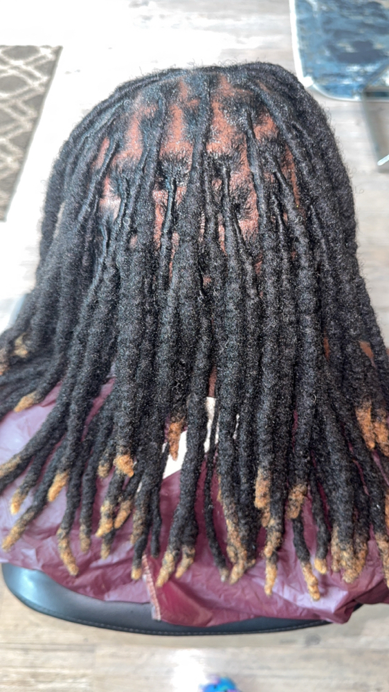 Adult Retwist at Loc’dnwithE in Montgomery, AL