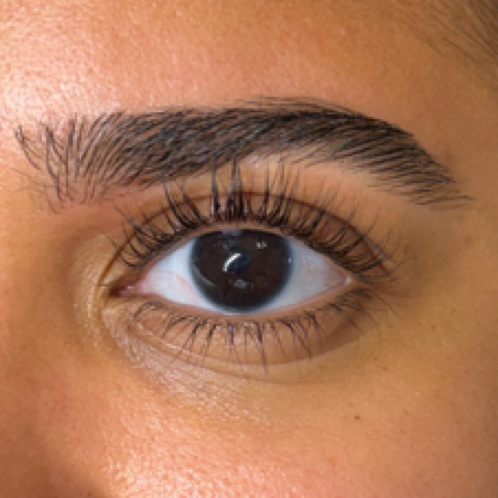 Korean Lash Lift +Tint at Rose Skincare & Aesthetics in Pittsburgh, PA