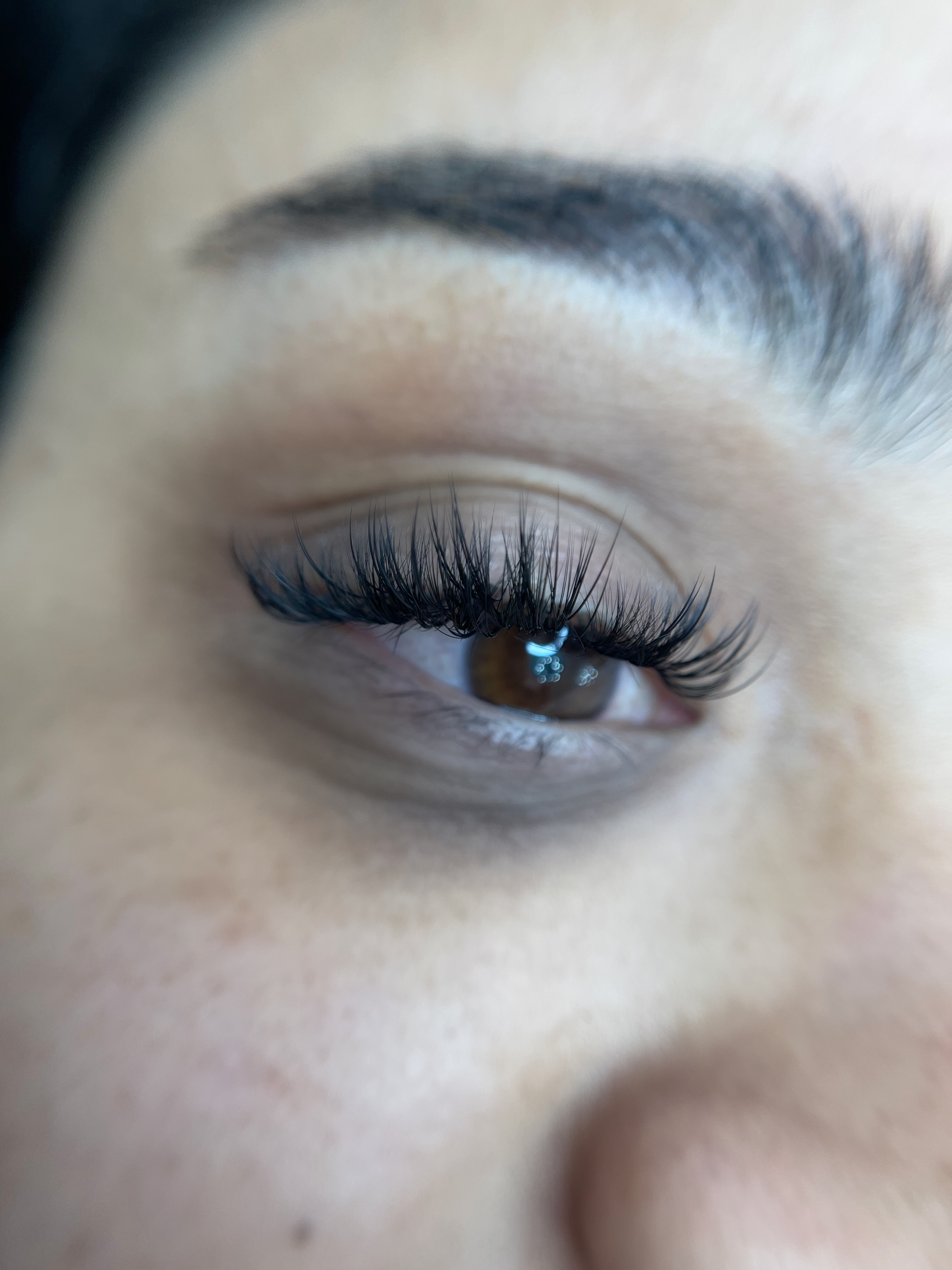 THE HYBRID 3 WEEK FILL at Forever Lashed in Norman, OK
