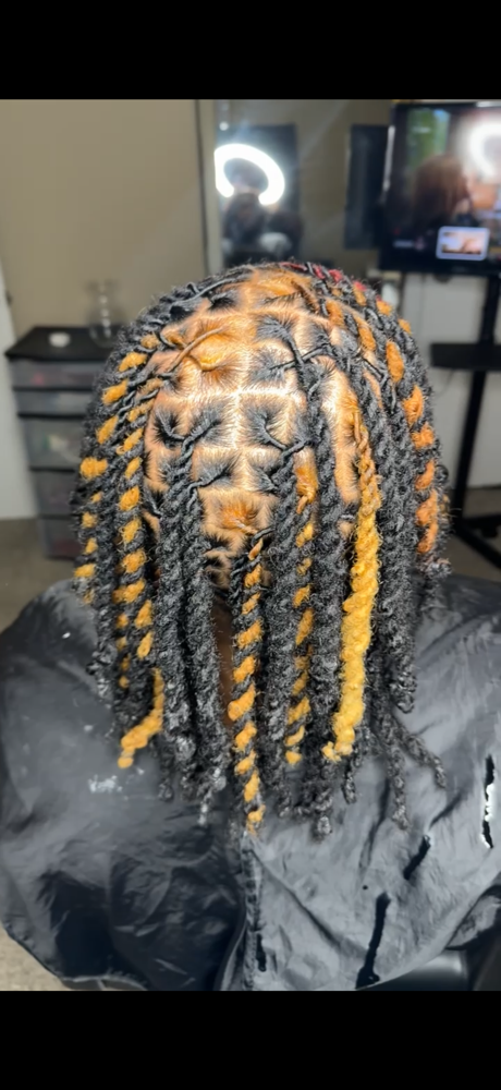 Retwist and Style 2 Strands/Plaits at Loc’d In With Dej in Fayetteville, NC