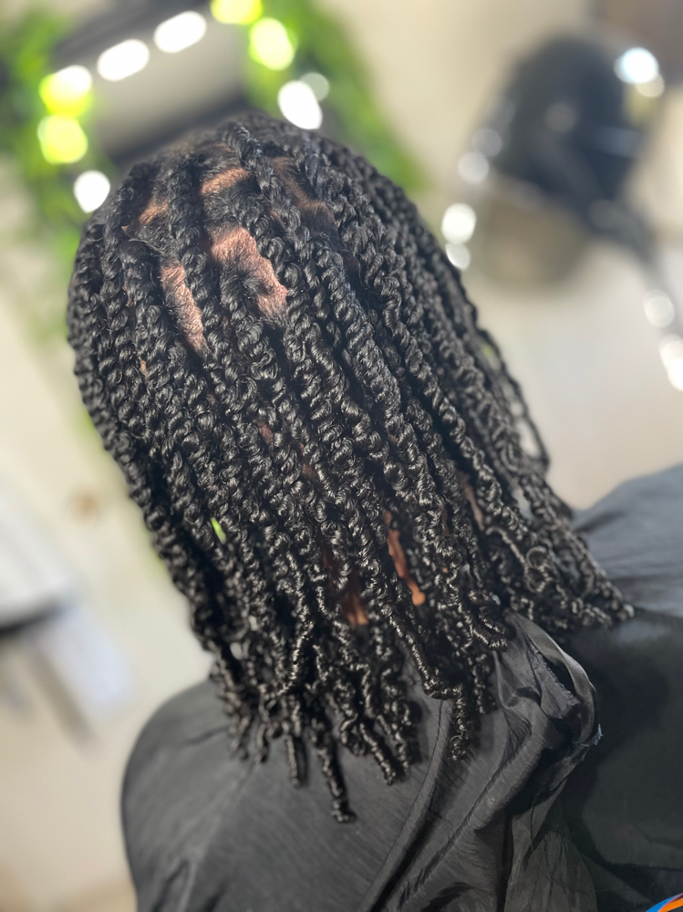 Two Strand Twist