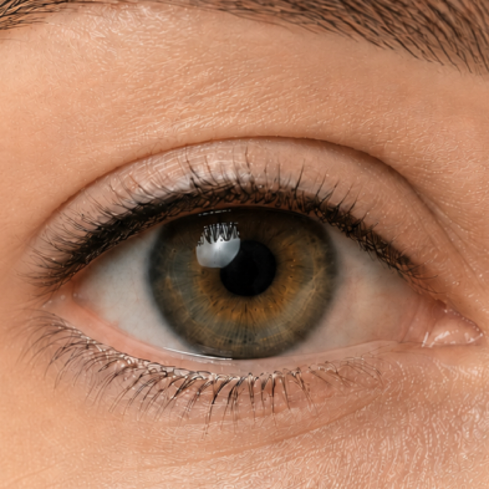 Classic Eyeliner at Everwell Cosmetic Tattoo Studio in Caribou, ME