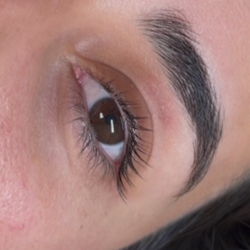 Korean Lash Lift + TINT at Brow and Body Lounge in San Diego, CA