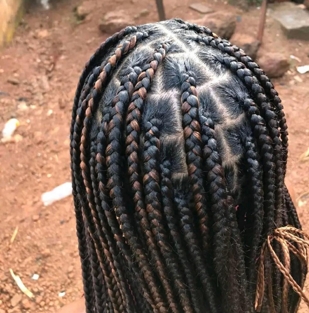 KnotlessBoxBraids(Midback/Shorter)