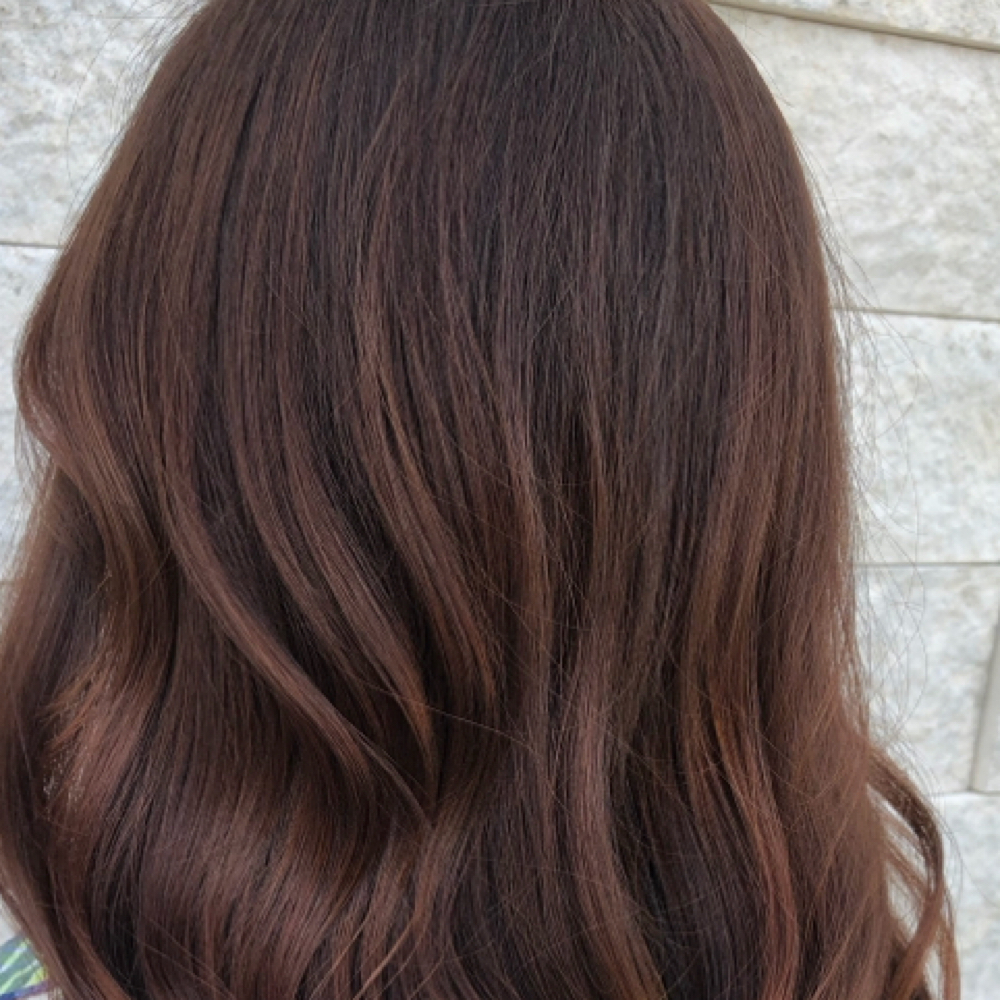 Color at Taylor Nichole Beauty in Dublin, OH