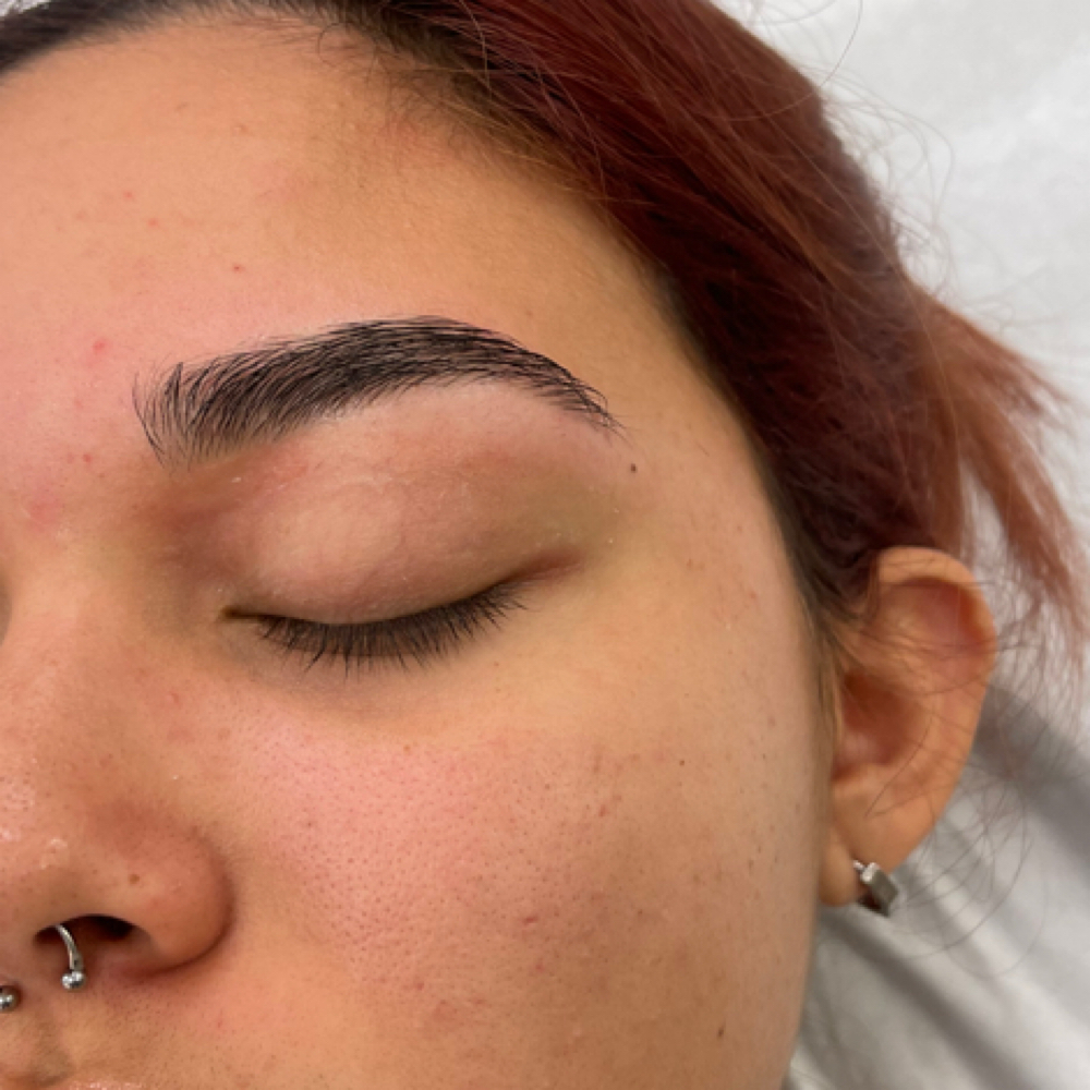 Brow Wax + Shaping at Wildflower & Honey Lash Studio in Ringgold, GA