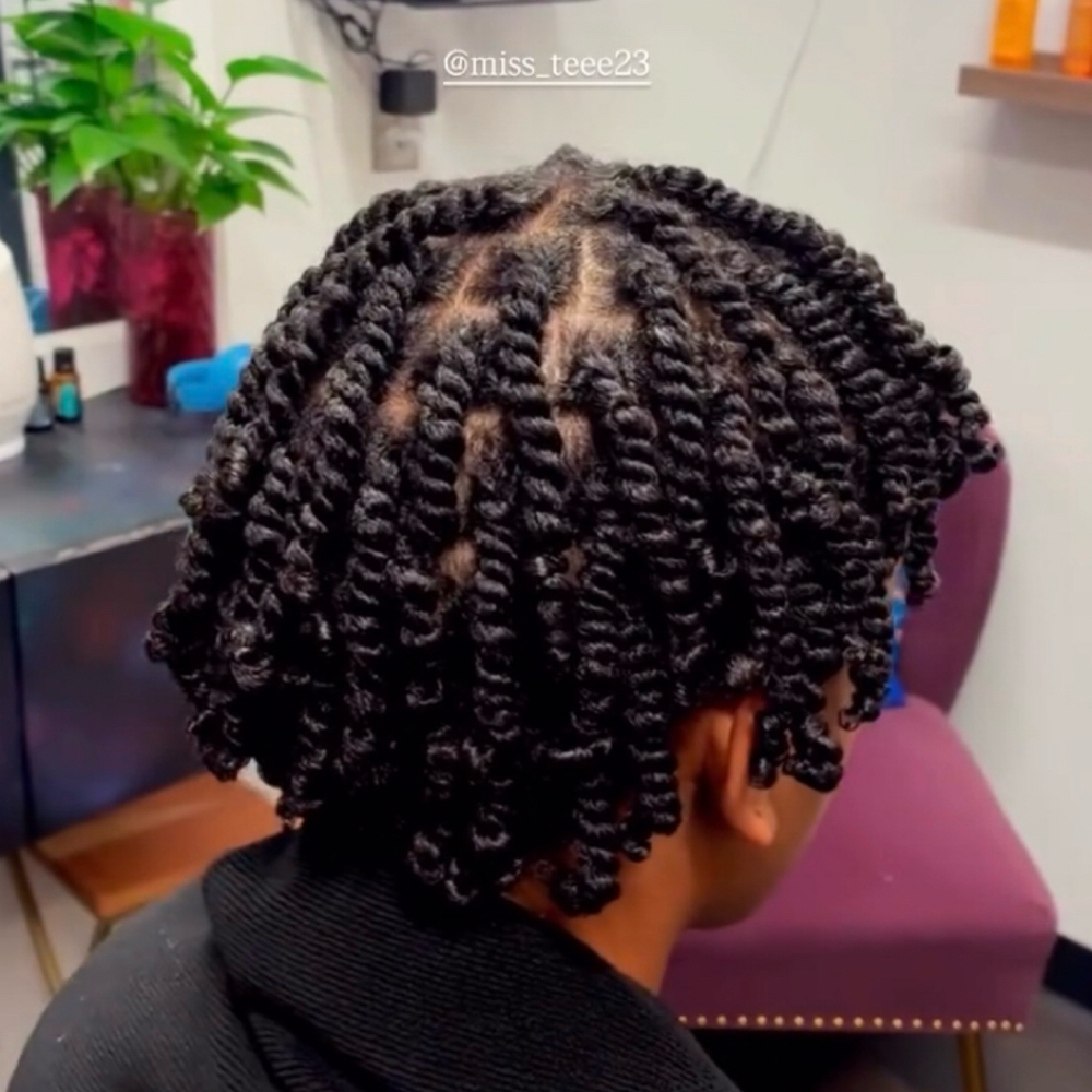 Mini Two Strand Twist at MaineBeautyRoom in Media, PA