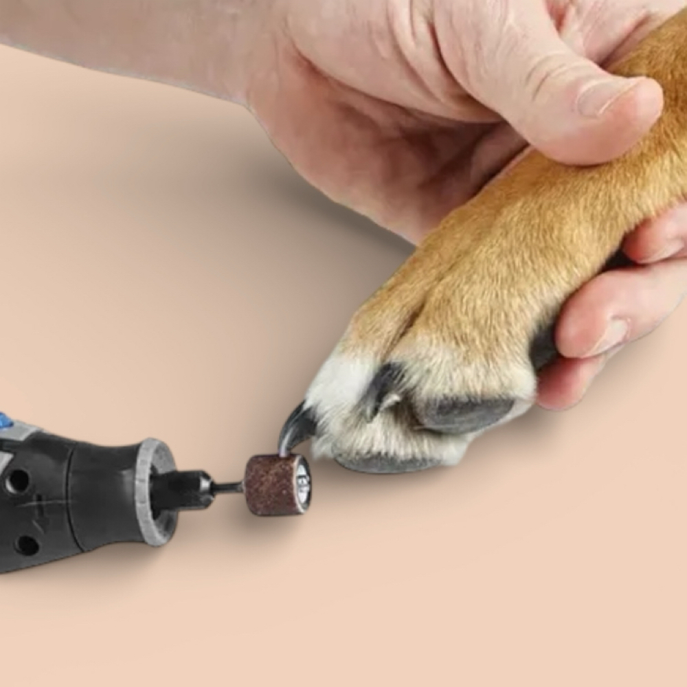 Nail Trim and Buffing at The Pet BOOtique in Carrollton, TX