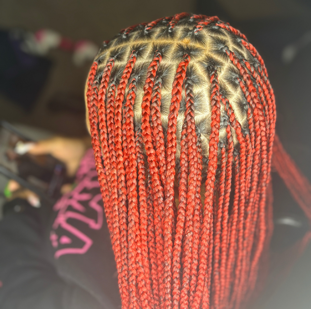 Small Knotless at Hands Of Beauty By Kevionna in Racine, WI