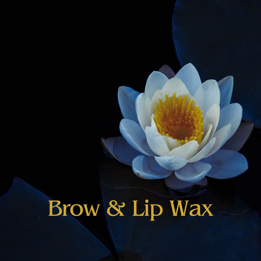 Brow & Lip Wax at Blue Lotus Beauty Spa in Sheboygan, WI