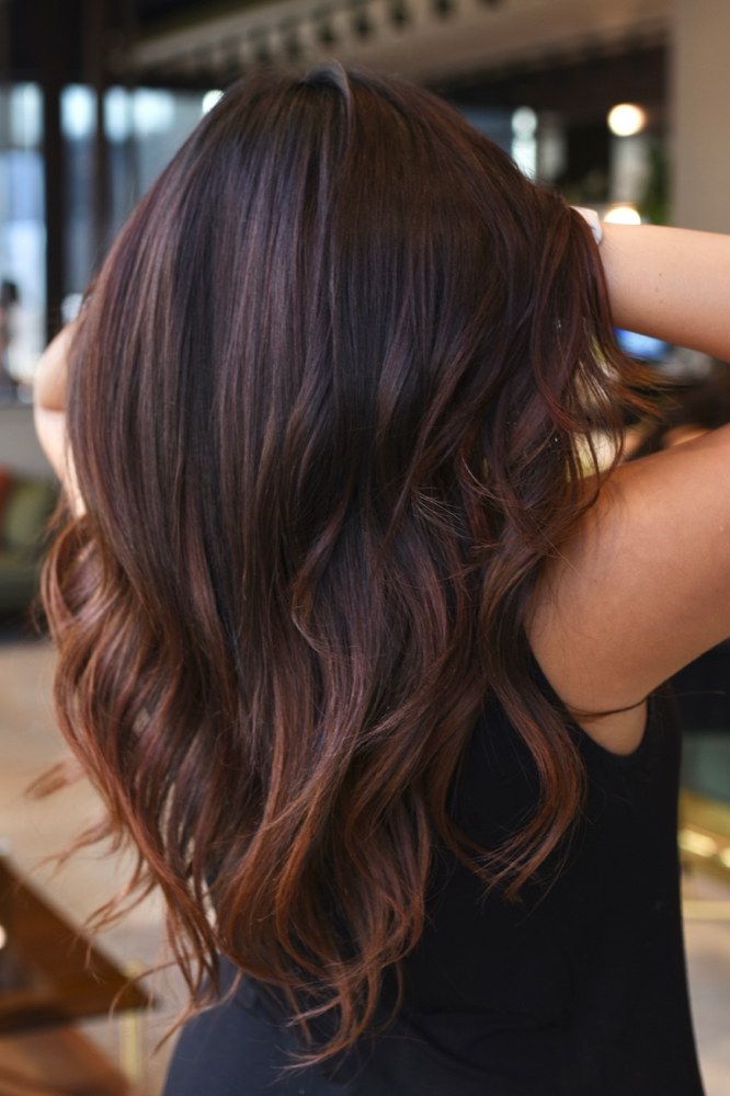 Olivia ❀ Extensions Model Service