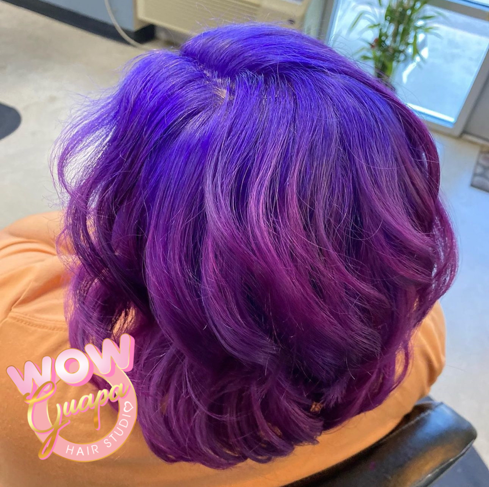 All Over Color, Cut, & Style