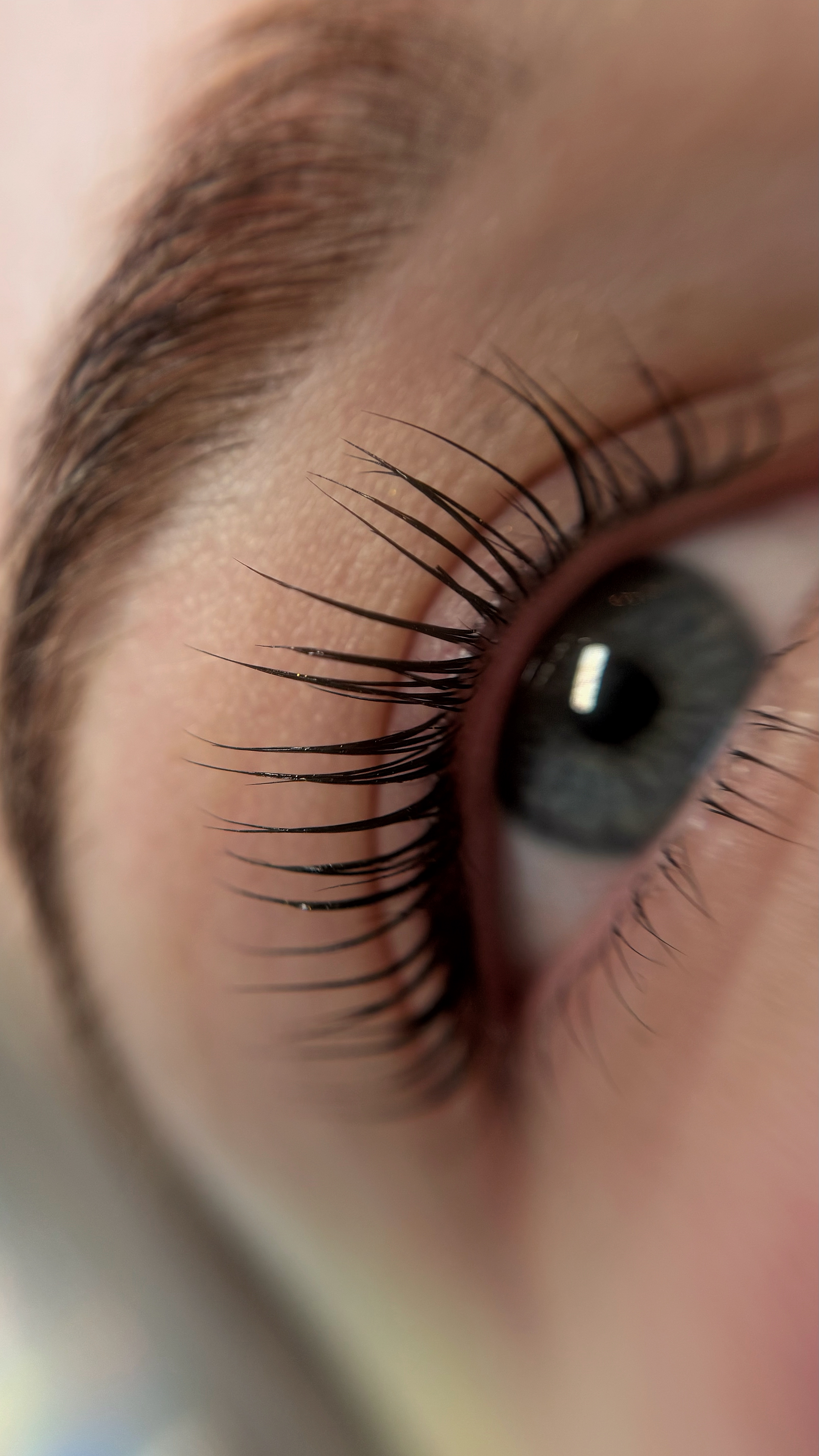 Lash lift