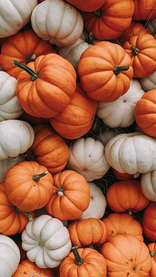 Pumpkin Enzyme Resurfacing Facial