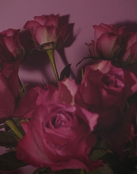 Signature Facial at Kyrie Cecil Esthetics in Tucson, AZ