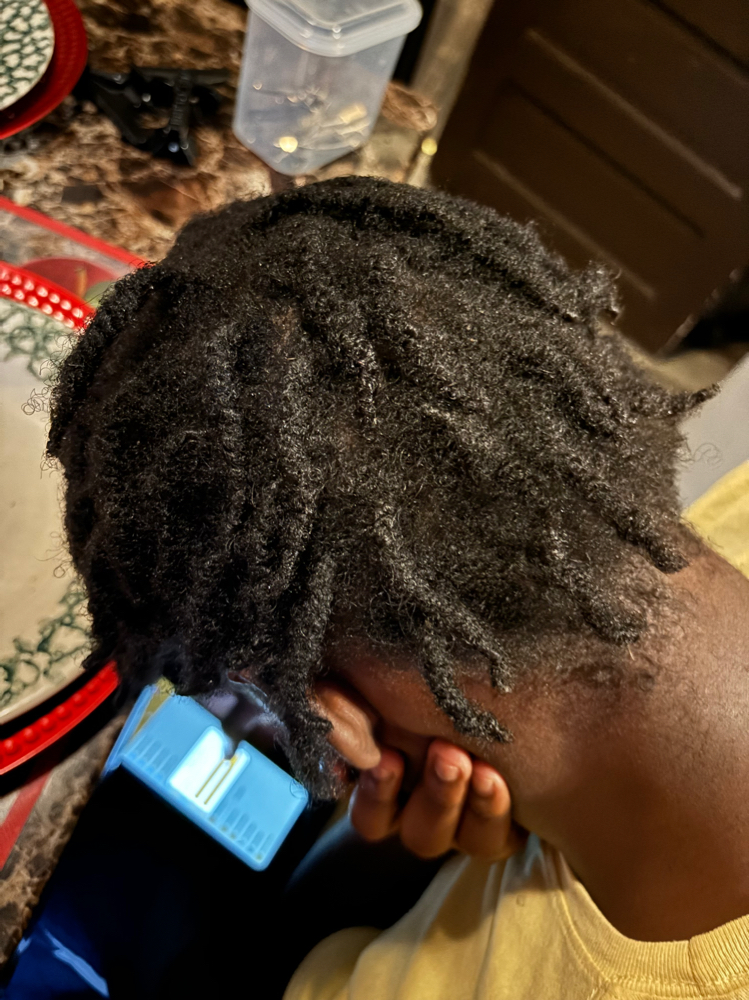 Retwist and Style Starter Locs