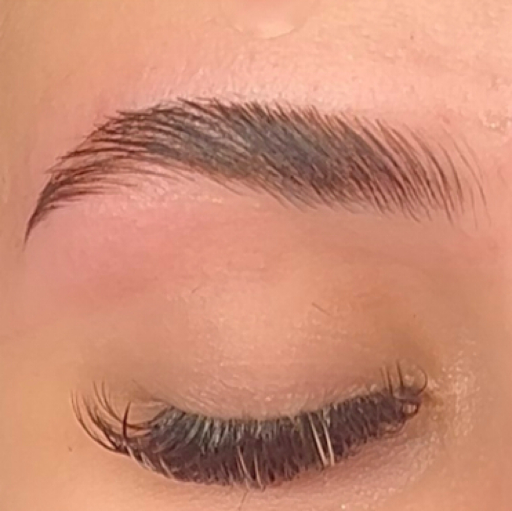 Brow Lamination,Tint & Wax at Marisa's Lash House in San Antonio, TX