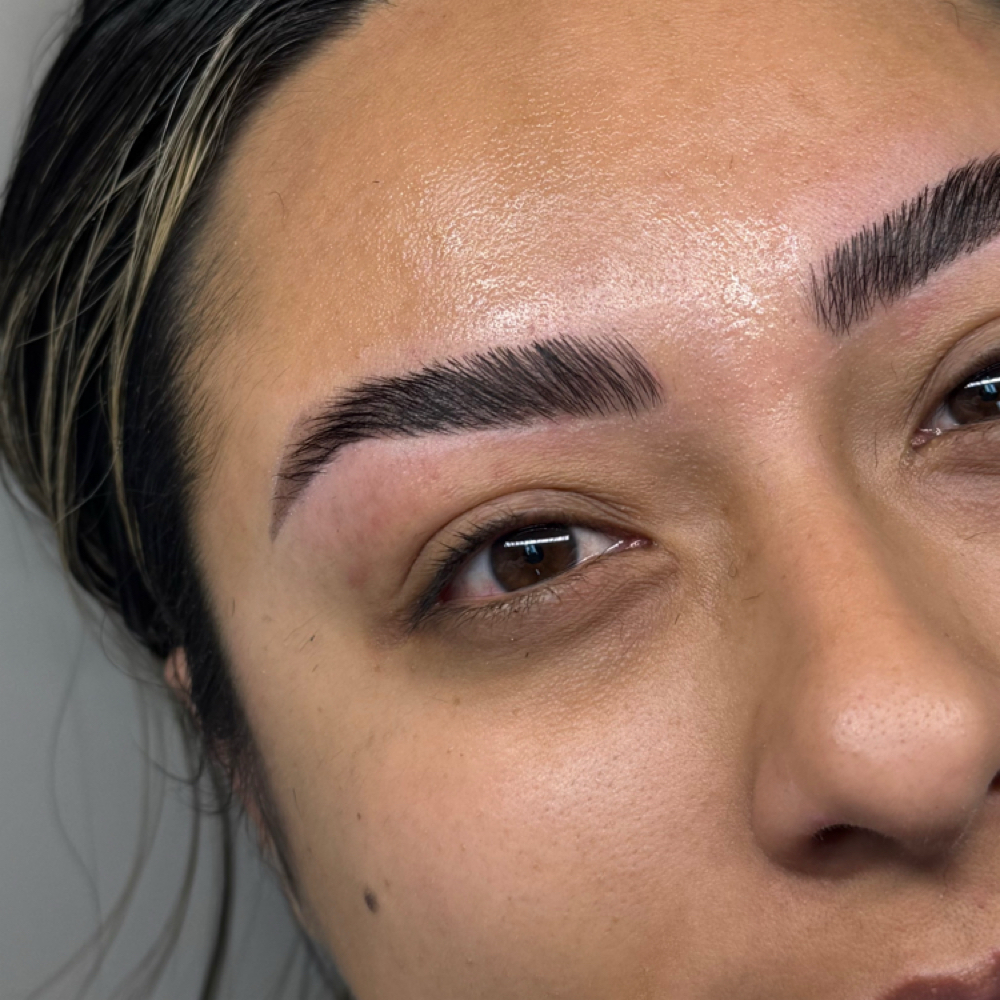 Eyebrow Lamination + Tint + Wax at DOLLHOUSE in Adrian, MI