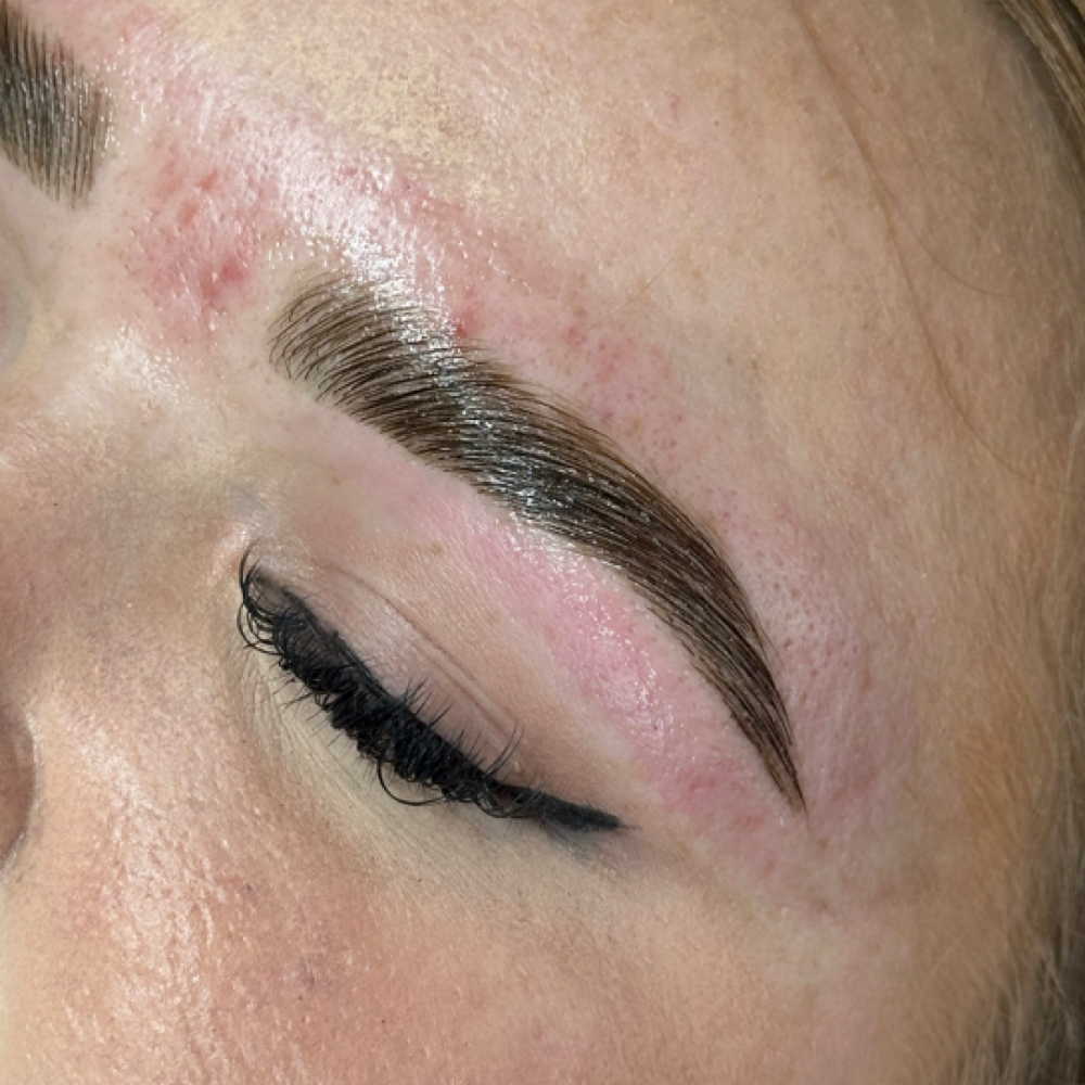 brow lamination + tint at Lashed Babe in Albertville, AL