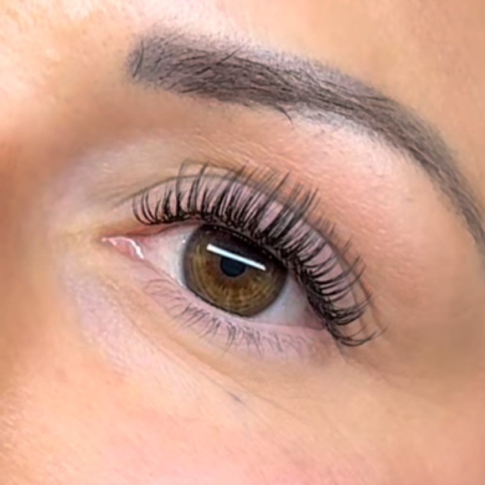3 Week Lash Fill + Hybrid Brow tint at Brass Bunny in San Clemente, CA