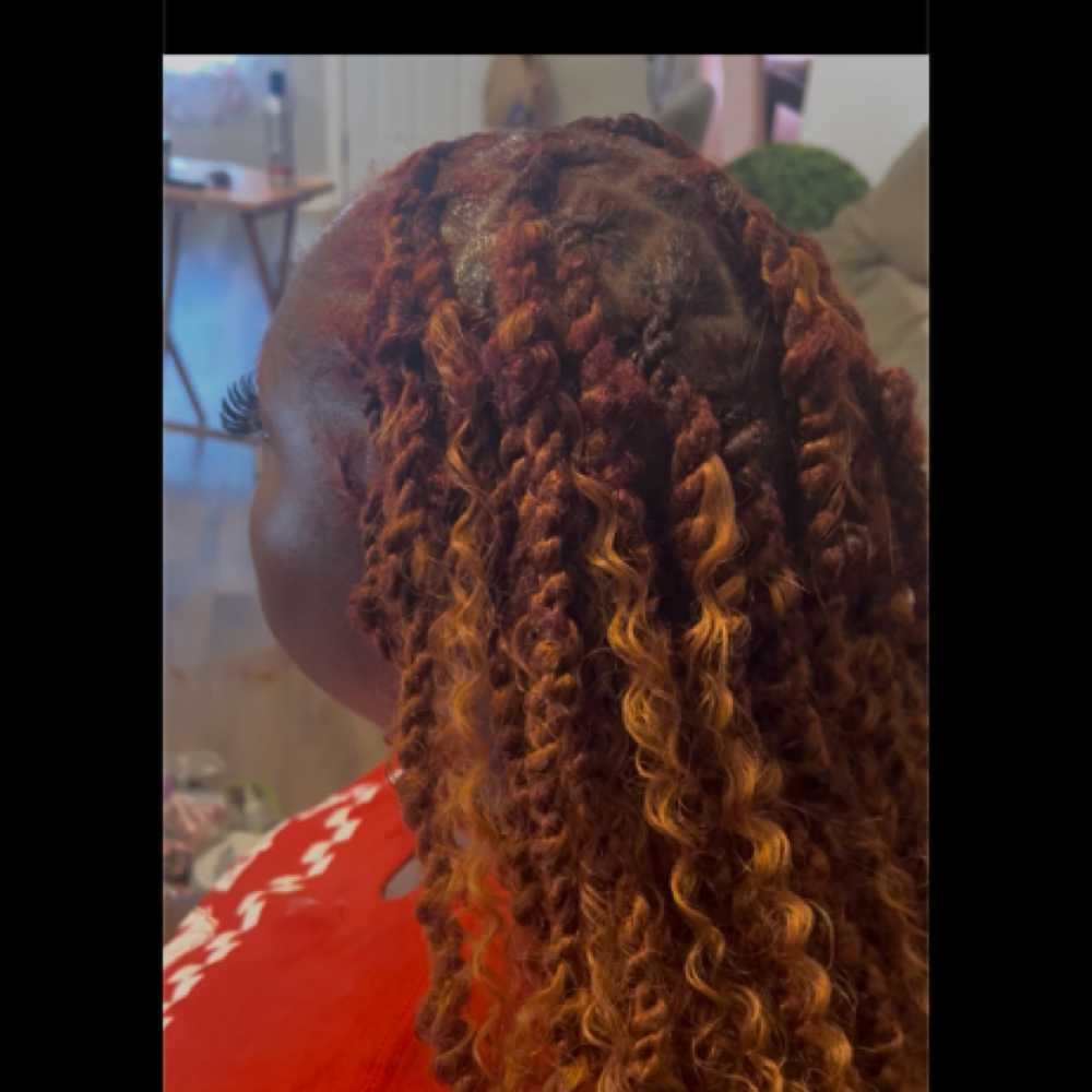 Extended Two Strand Twist - Locs at Loc’d in with Ariel in Olive Branch, MS