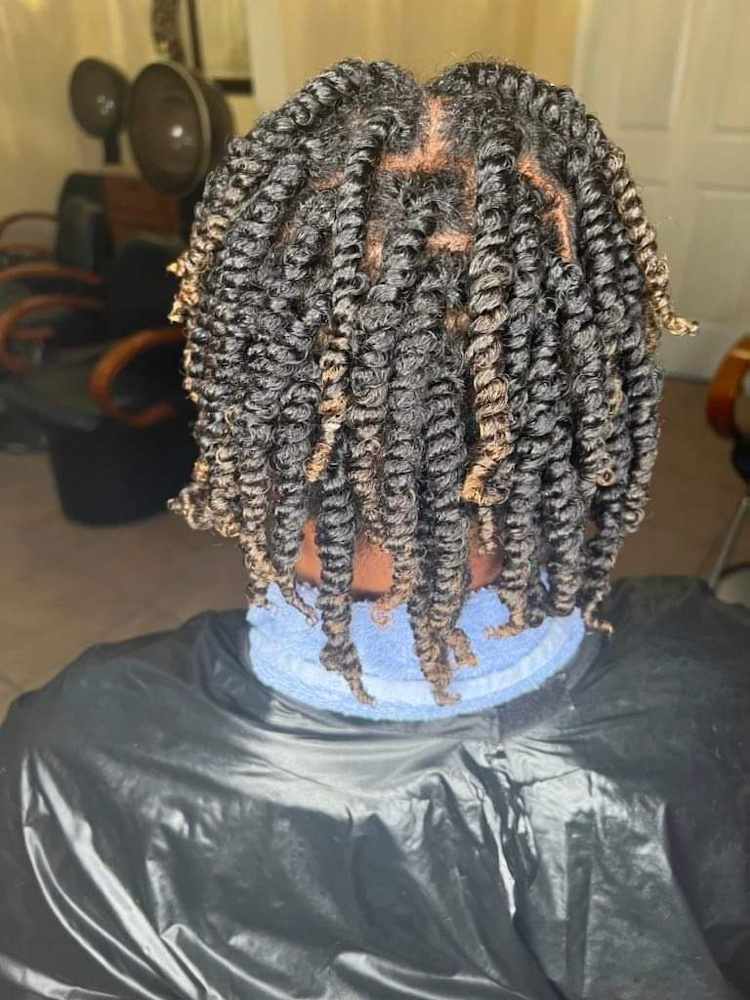 Two Strand Twist
