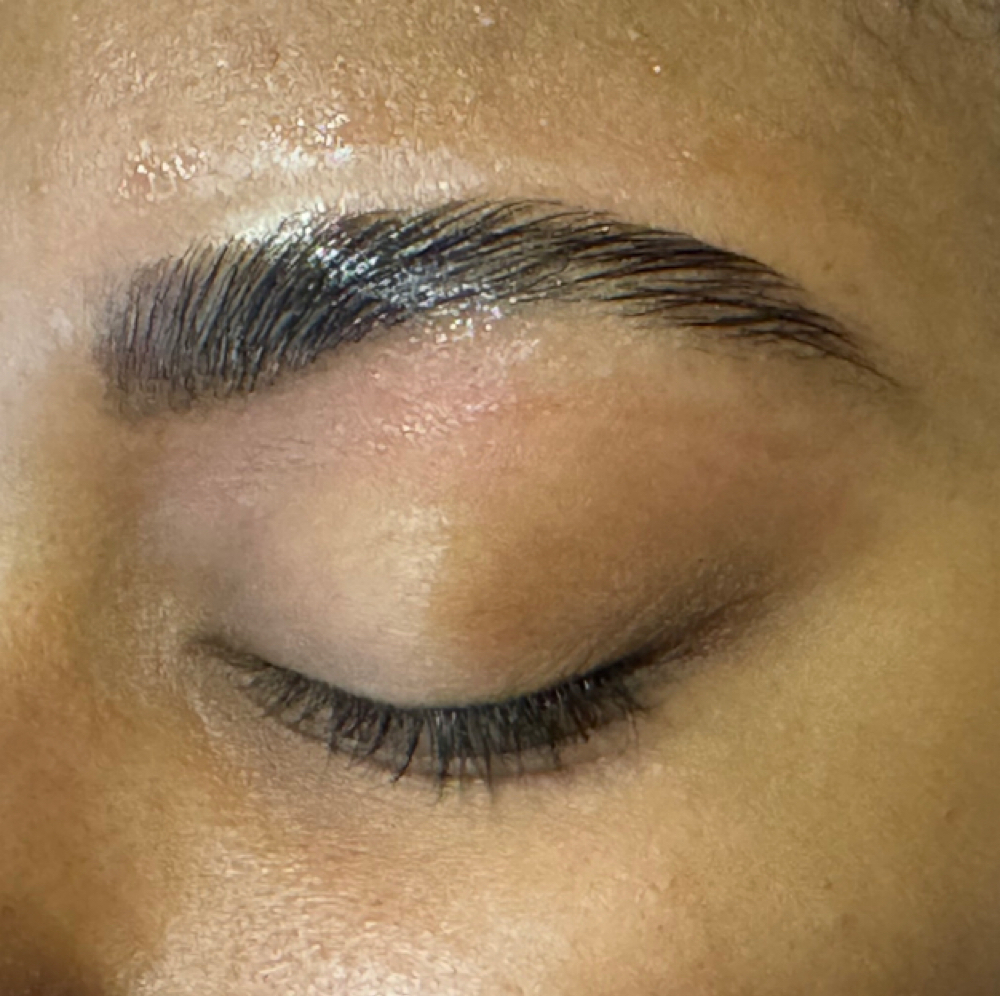 Brow Lamination & Tint at Chauntelles aesthetics in Bangor, ME