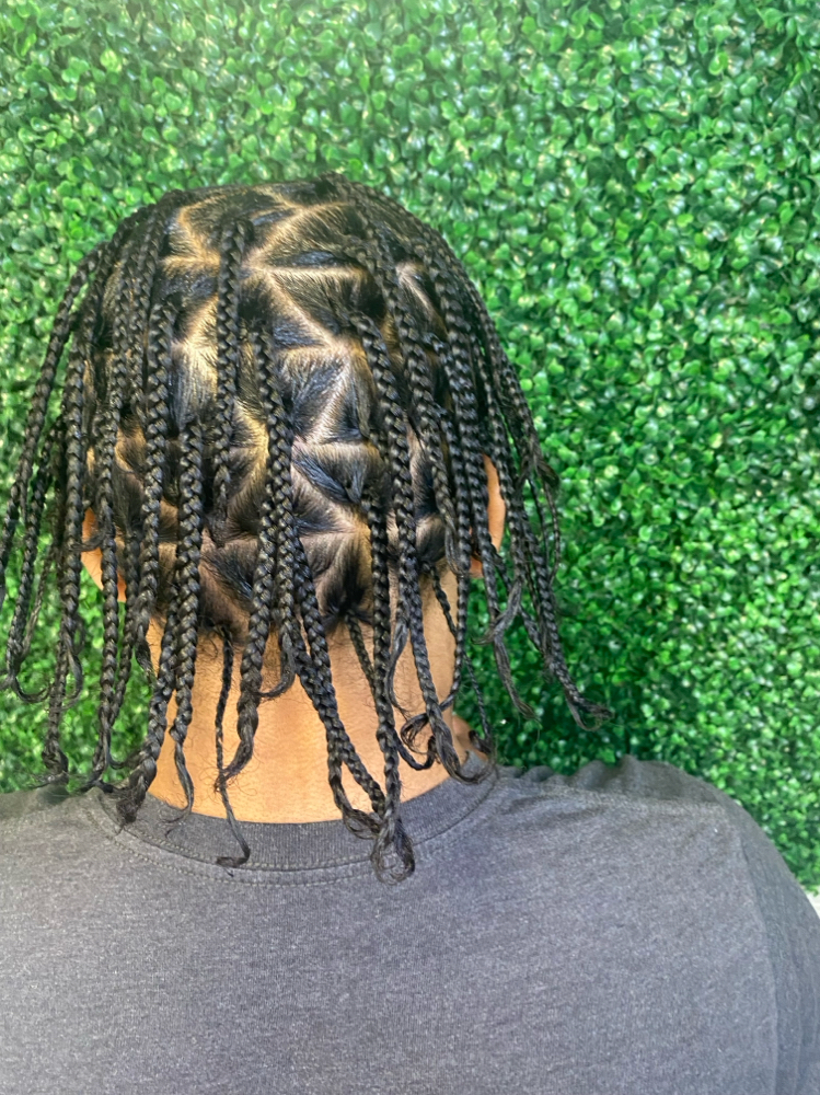 Box Braids W/ Natural Hair Short