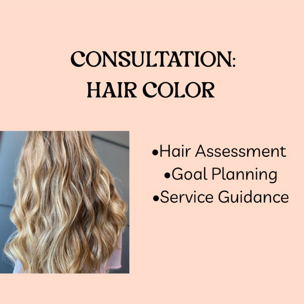 CONSULTATION: HAIR COLOR at Pin And Tonic Salon in Fort Mill, SC