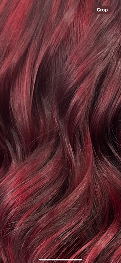 Single Application Color
